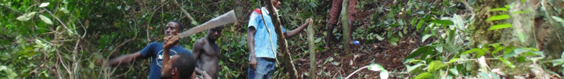 Hydropower feasibility study in Liberia